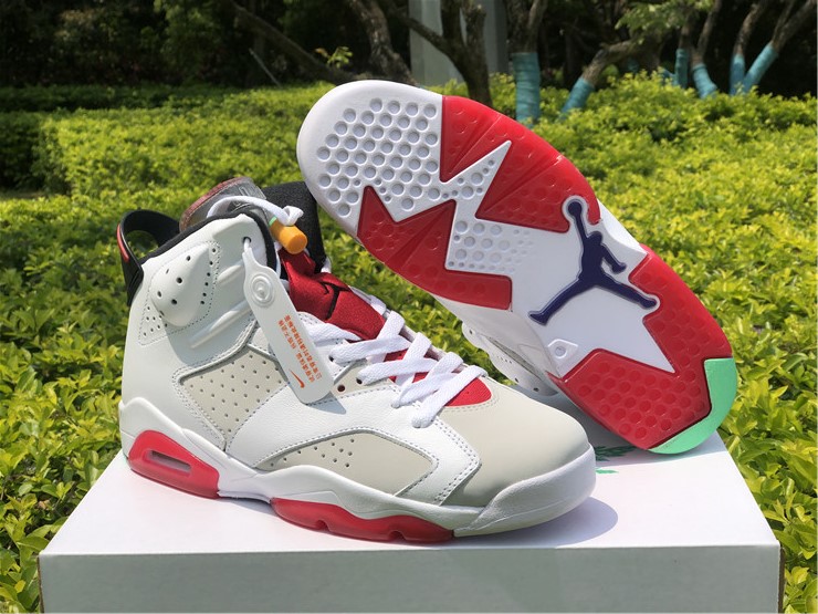 jordan 6 hare lover shoes